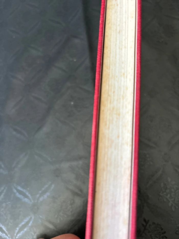 J’étais sa petite princesse nelly livre - photo numéro 4