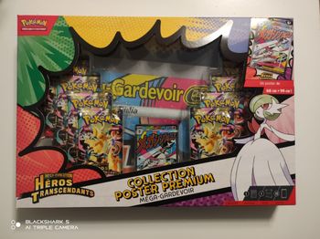 Collection poster premium Mega-Gardevoir