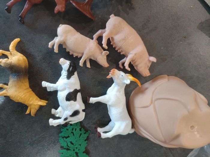 Lot animaux - photo numéro 2