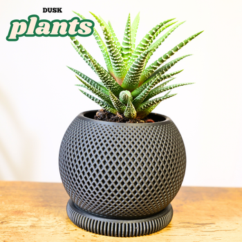 Jardinières / Pot de fleurs modernes