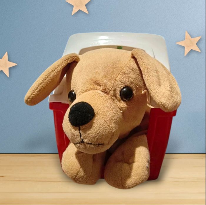 Jeux vétérinaire Ecoiffier  petit chien
