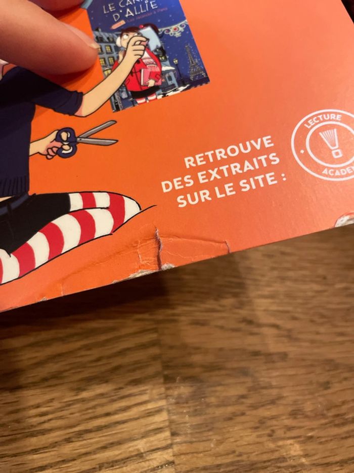 Livre Le carnet d’Allie La sortie - photo numéro 10