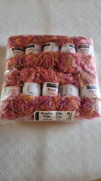 Lot 10 Pelotes Laine Schachenmayr - Brazilia Color - 500g