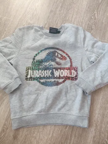 Pull Jurassic World 6-7 ans