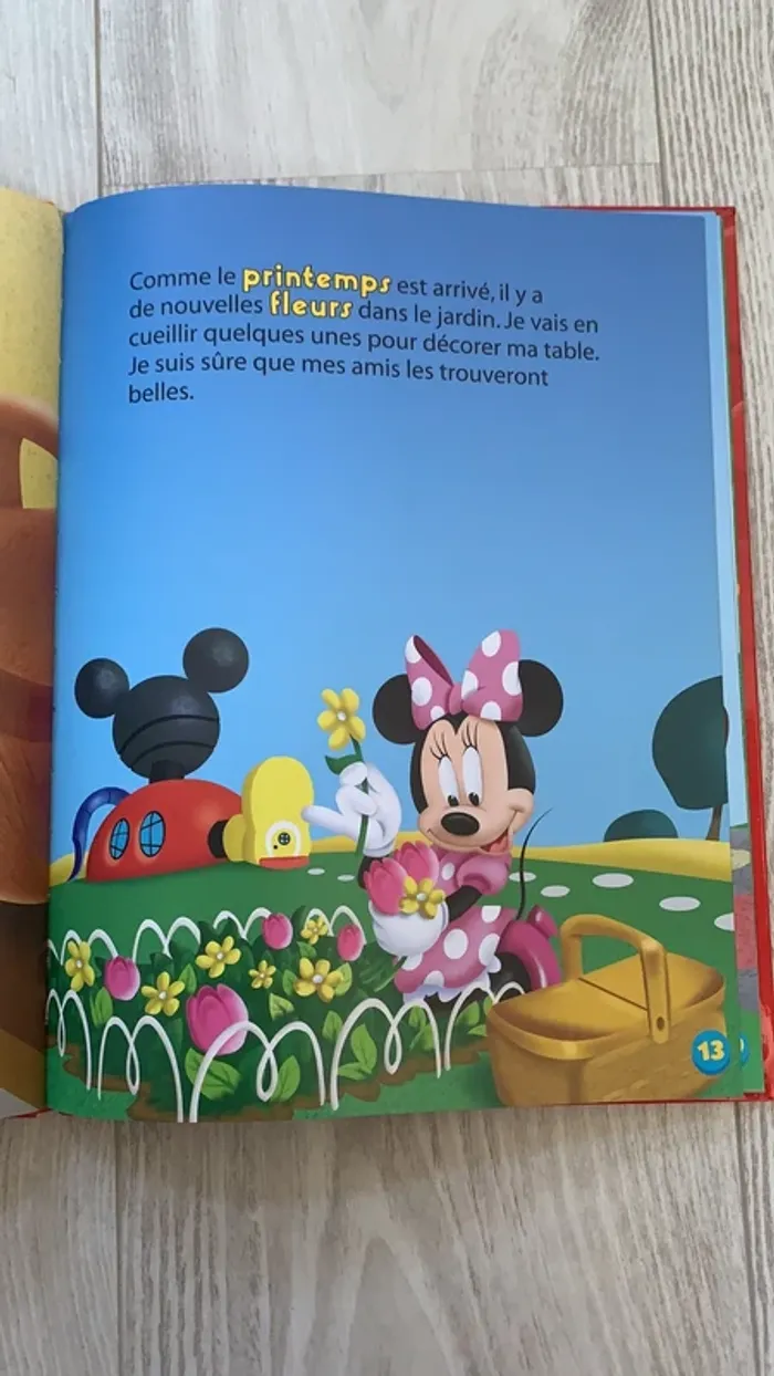La maison de mickey Le printemps - photo numéro 2