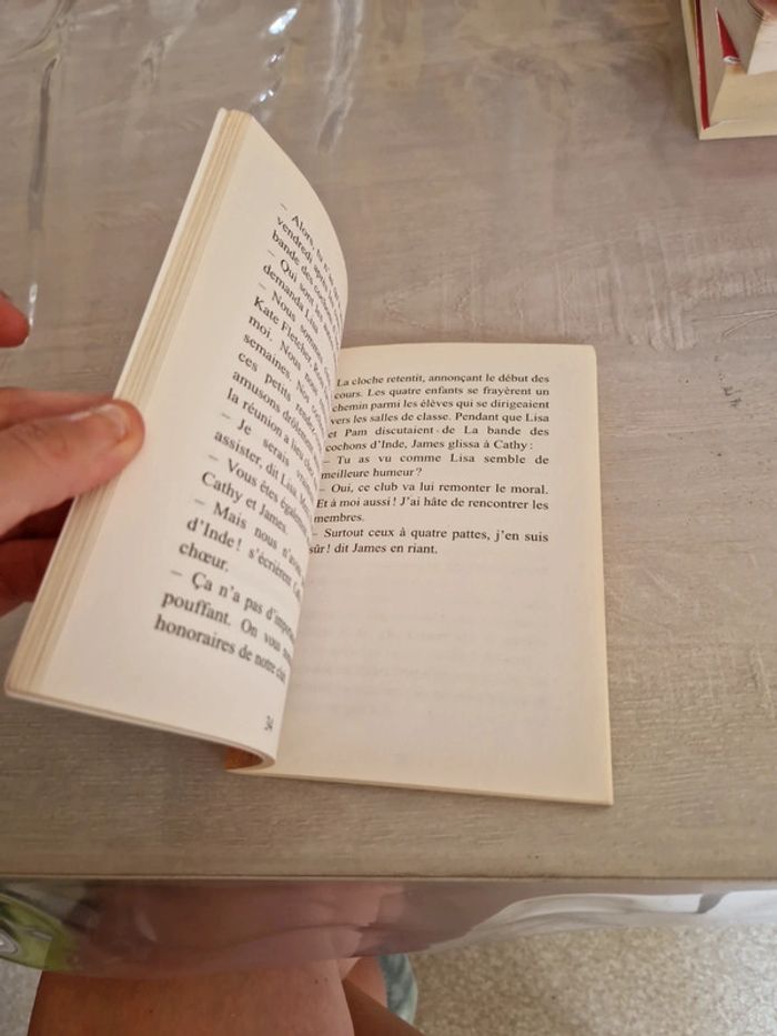 La bande des cochons d'inde - photo numéro 5