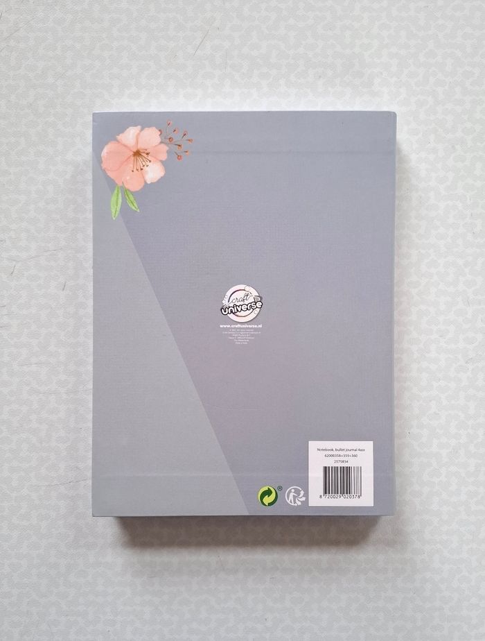 Bullet Journal Scrapbooking - photo numéro 2