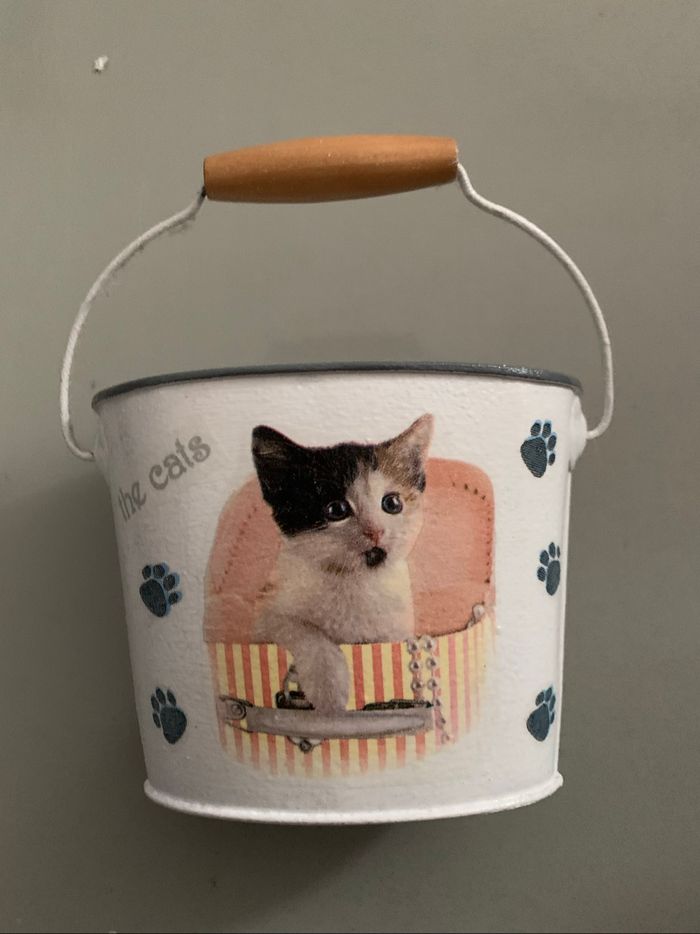 Petit rangement chat - photo numéro 2