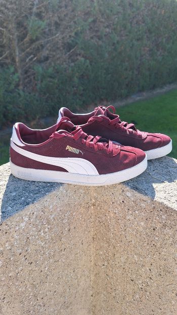 Basket Puma