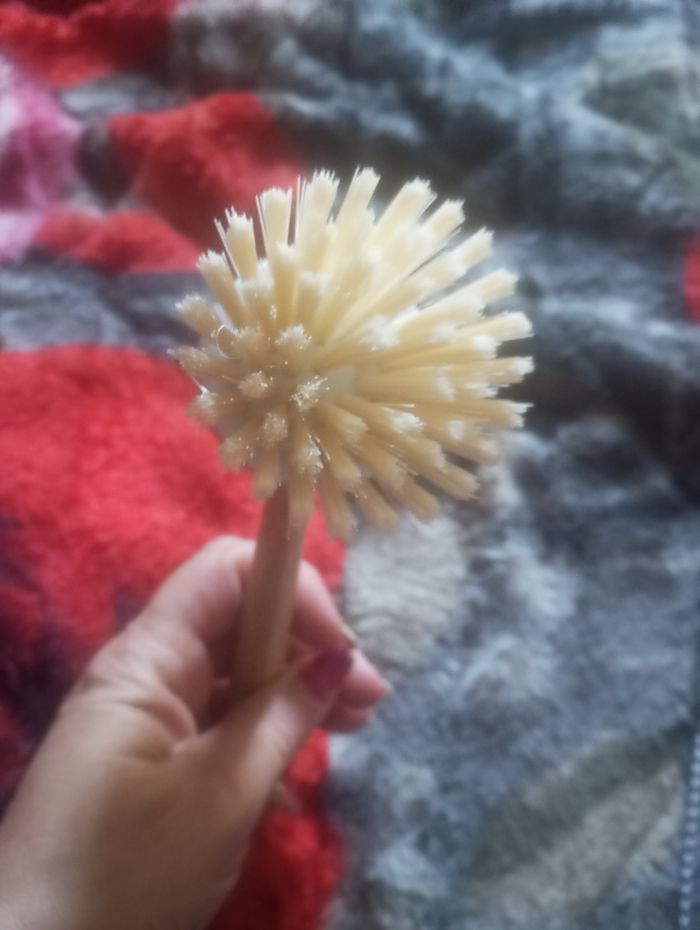 Brosse a vaisselle - photo numéro 2
