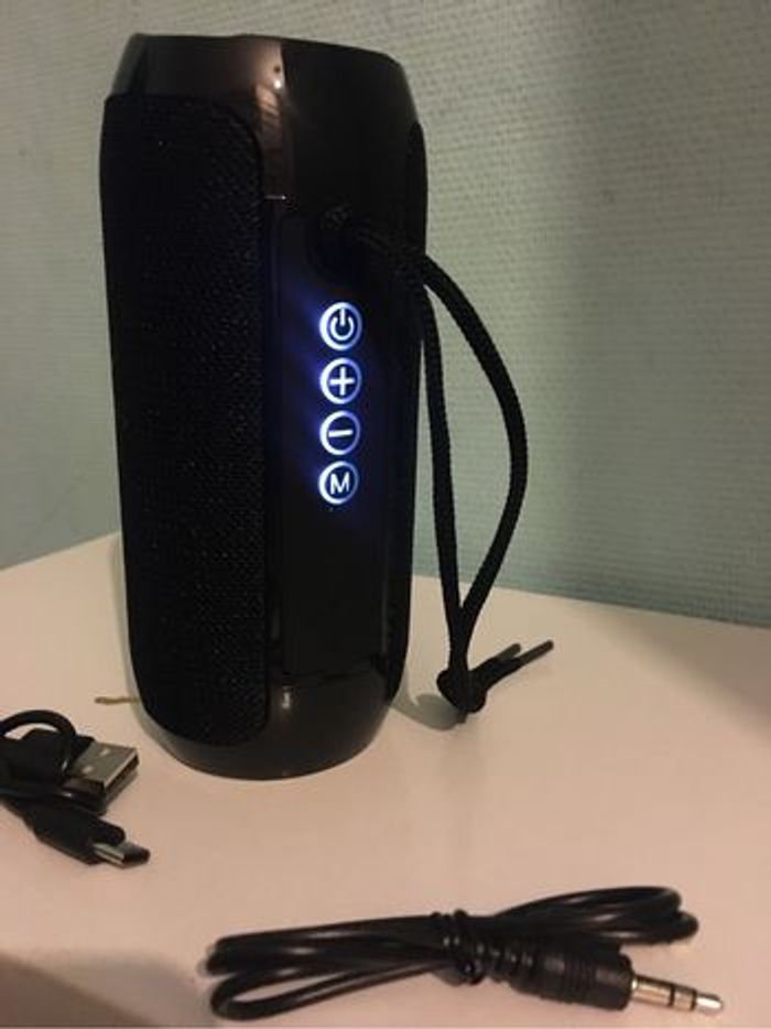 Enceinte T&G - photo numéro 3