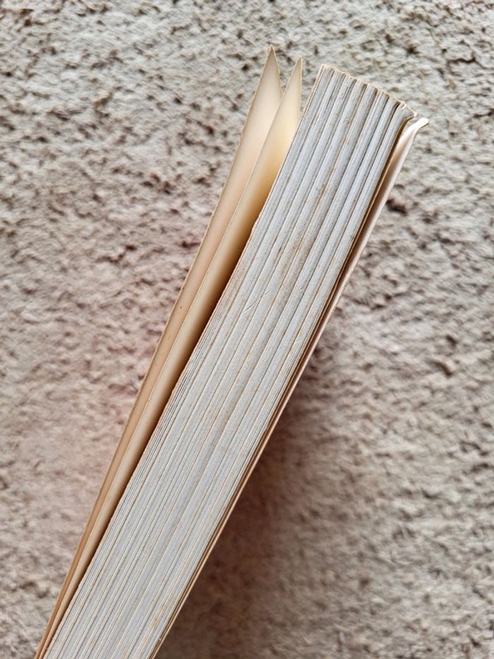 Un héros de notre temps de Maurice Toesca - Réflexion sociale et politique - photo numéro 3