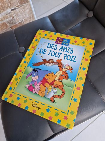 Des amis de tout poil winnie ourson disney