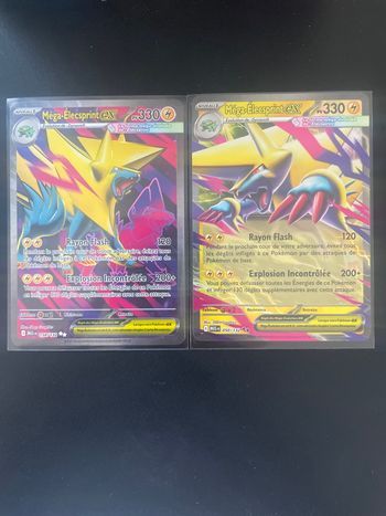 Lots de deux cartes mega-Elecsprintex