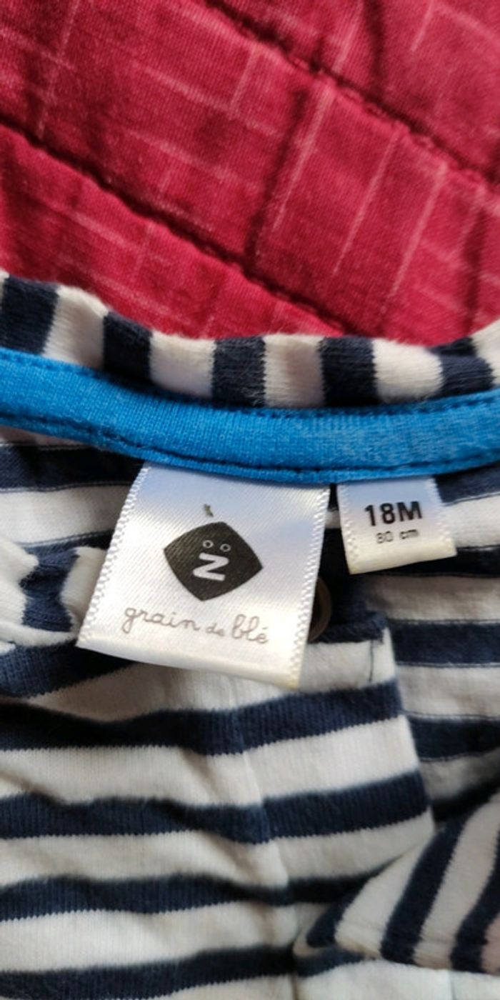 Tee shirt grain de blé 18 mois - photo numéro 3