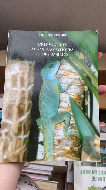 L’élevage des agame aquatique et des basilic