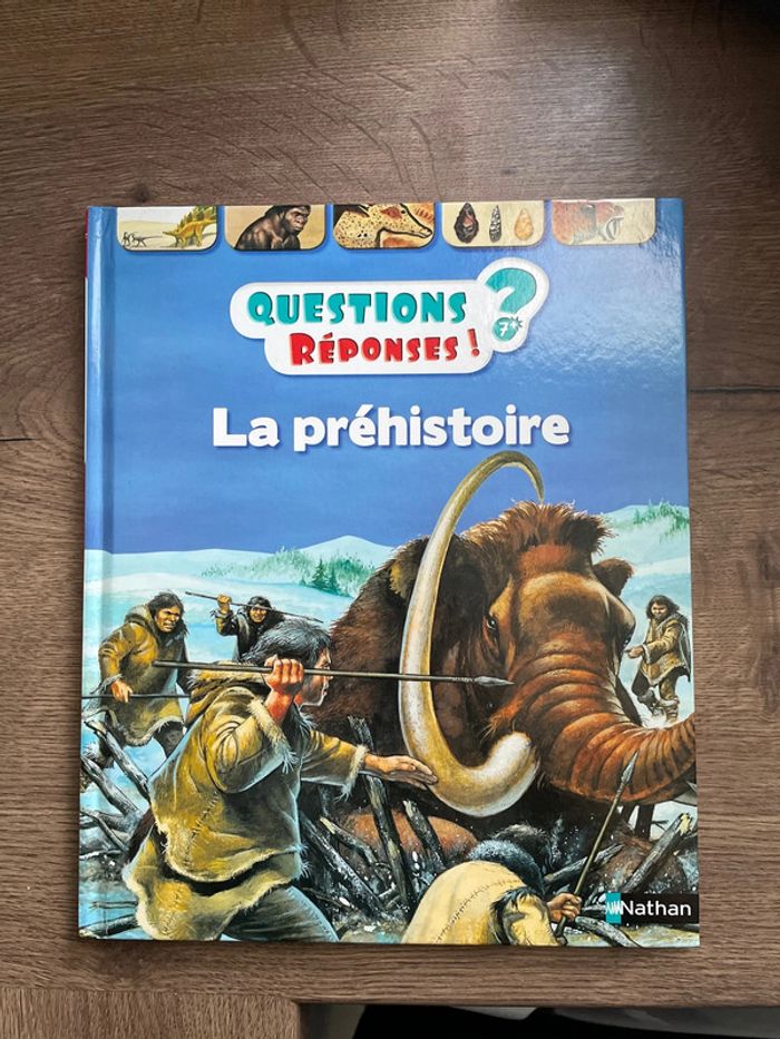 Questions ? Réponses ! La préhistoire