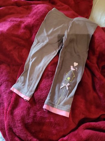 Leggings orchestra