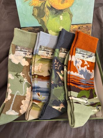 COFFRET CHAUSSETTES VAN GOTH