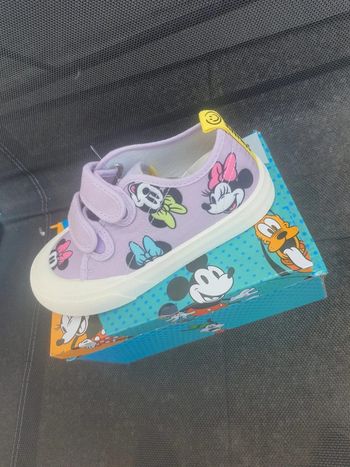Basket minnie