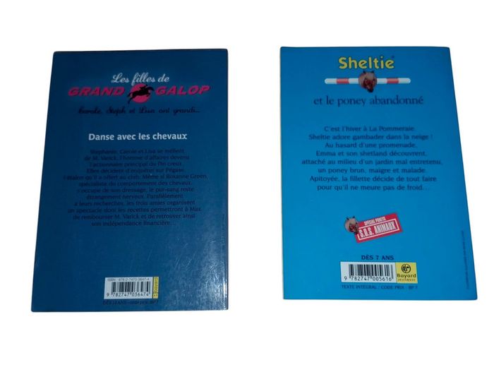 Livre chevaux - photo numéro 2