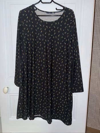 Robe droite