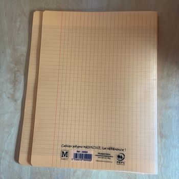 Lot  de 2 cahiers 24x32