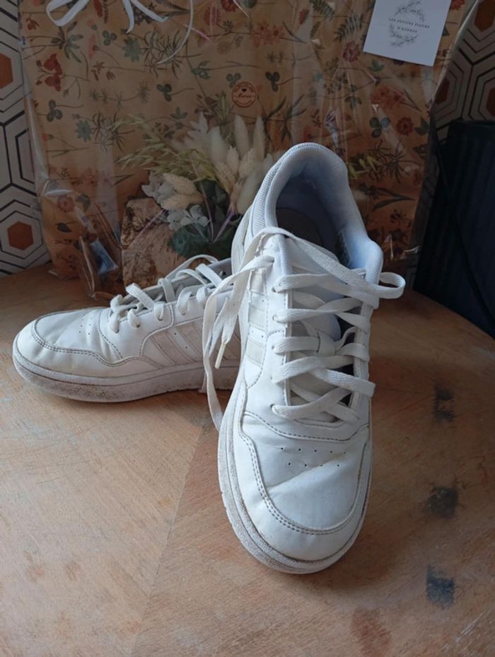 Basket adidas blanche