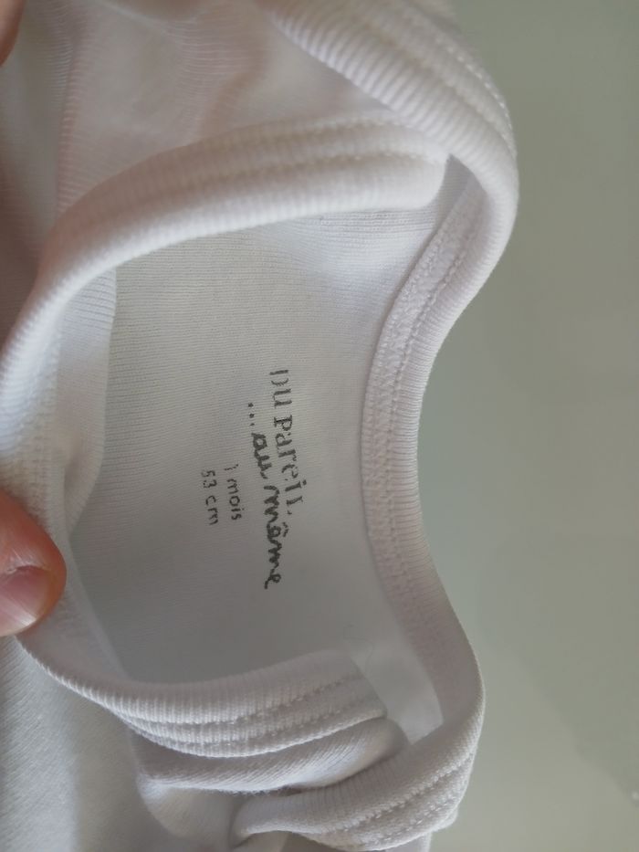 BODY MANCHES COURTES DPAM - photo numéro 2