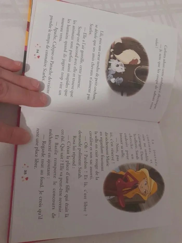 Livre horseland à partir de 8 ans - photo numéro 8