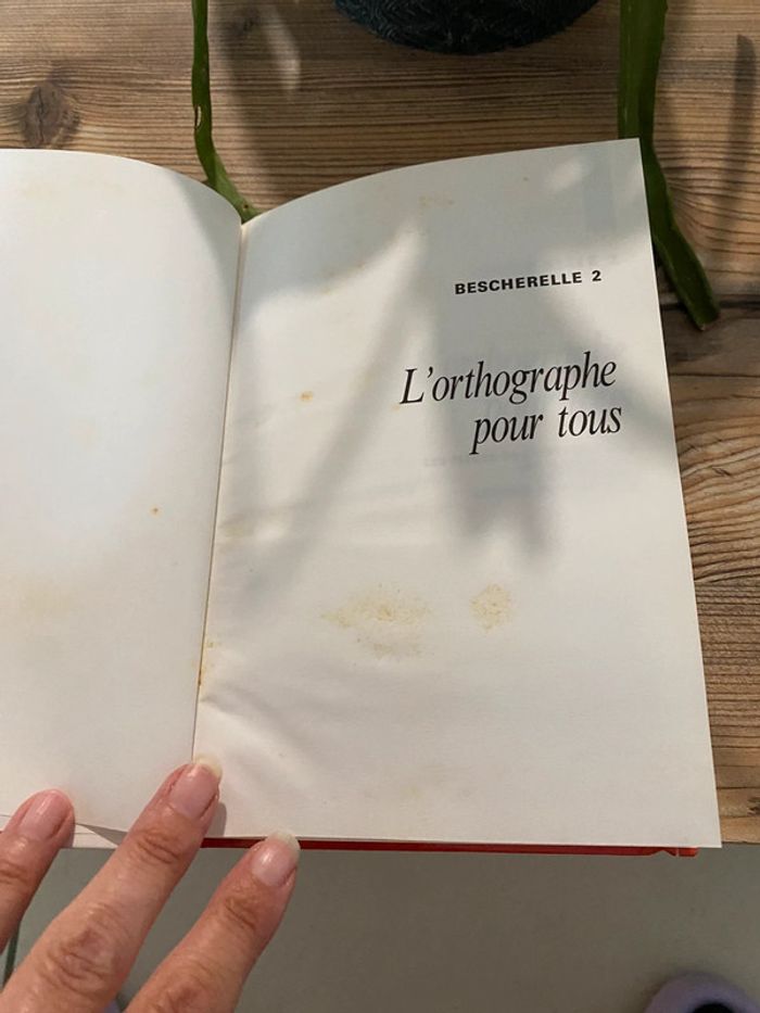 Beschetelle l’orthographe pour tous - photo numéro 3