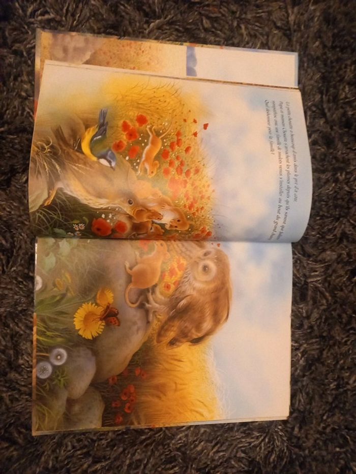 Livre"les amie de juliette la chouette" - photo numéro 2