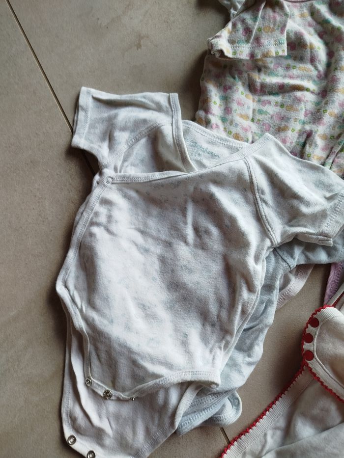 Lot body manches courtes 12 mois - photo numéro 6