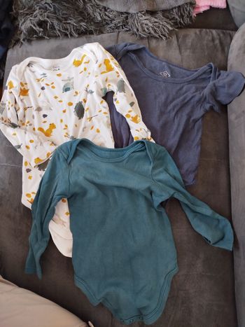 Lot de 3body 24/36 mois