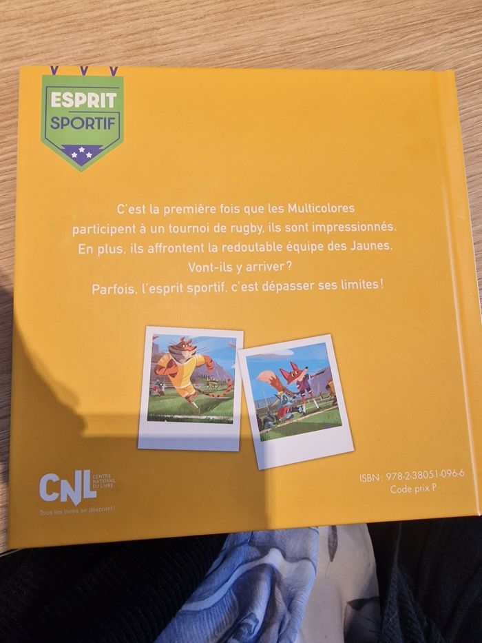 Le match de rugby - photo numéro 2