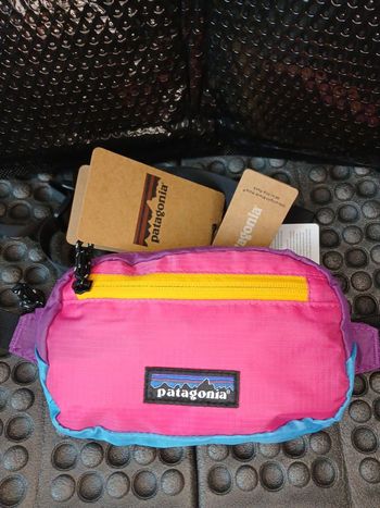 Sac banane Patagonia 1l NEUF