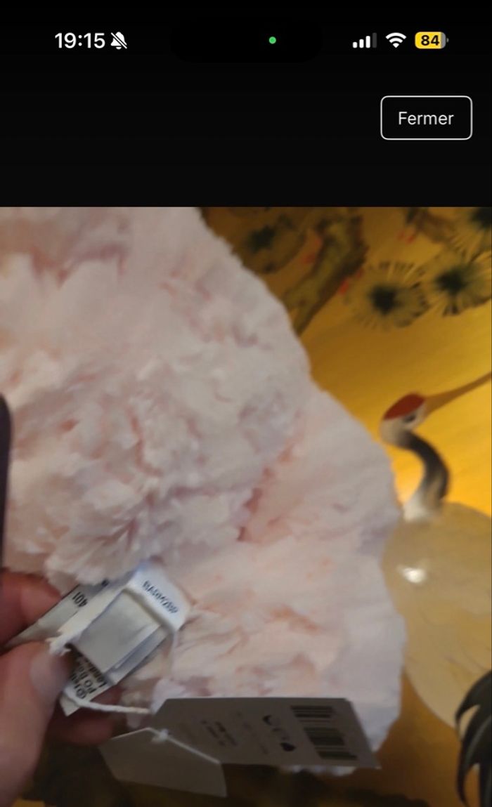 Ours leola jellycat - photo numéro 6