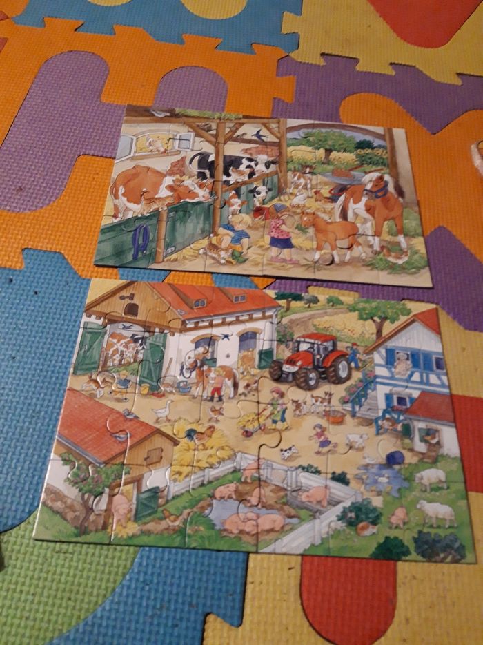 Puzzle 2x24 pièces - photo numéro 3