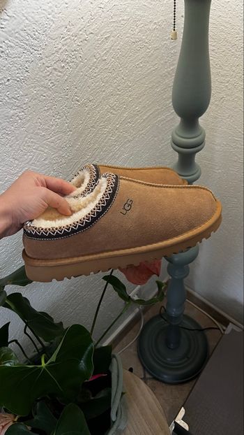 Ugg Tasman 