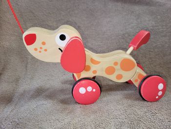 Chien à promener Puppy Hape