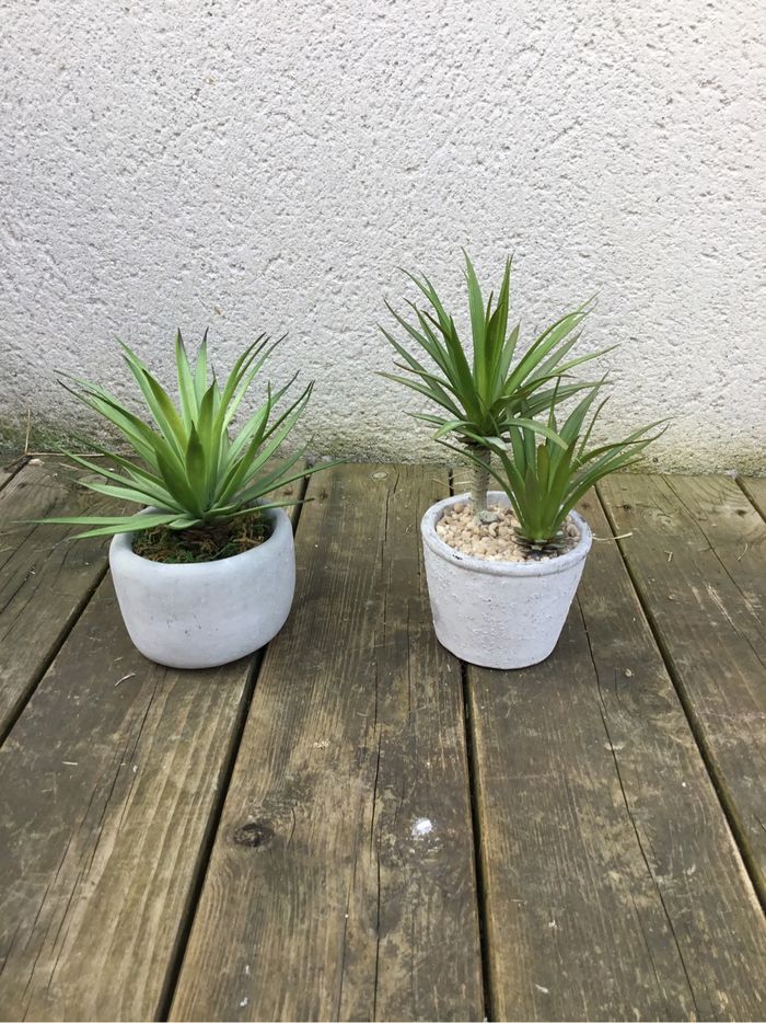 Lot Plante artificielles