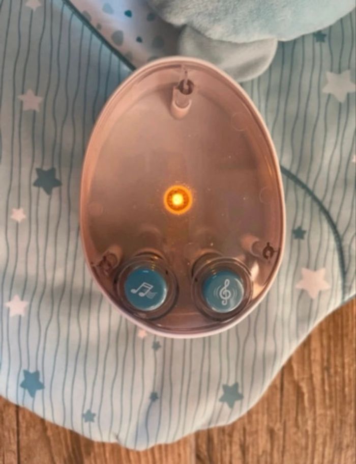 Mon premier nid - photo numéro 8