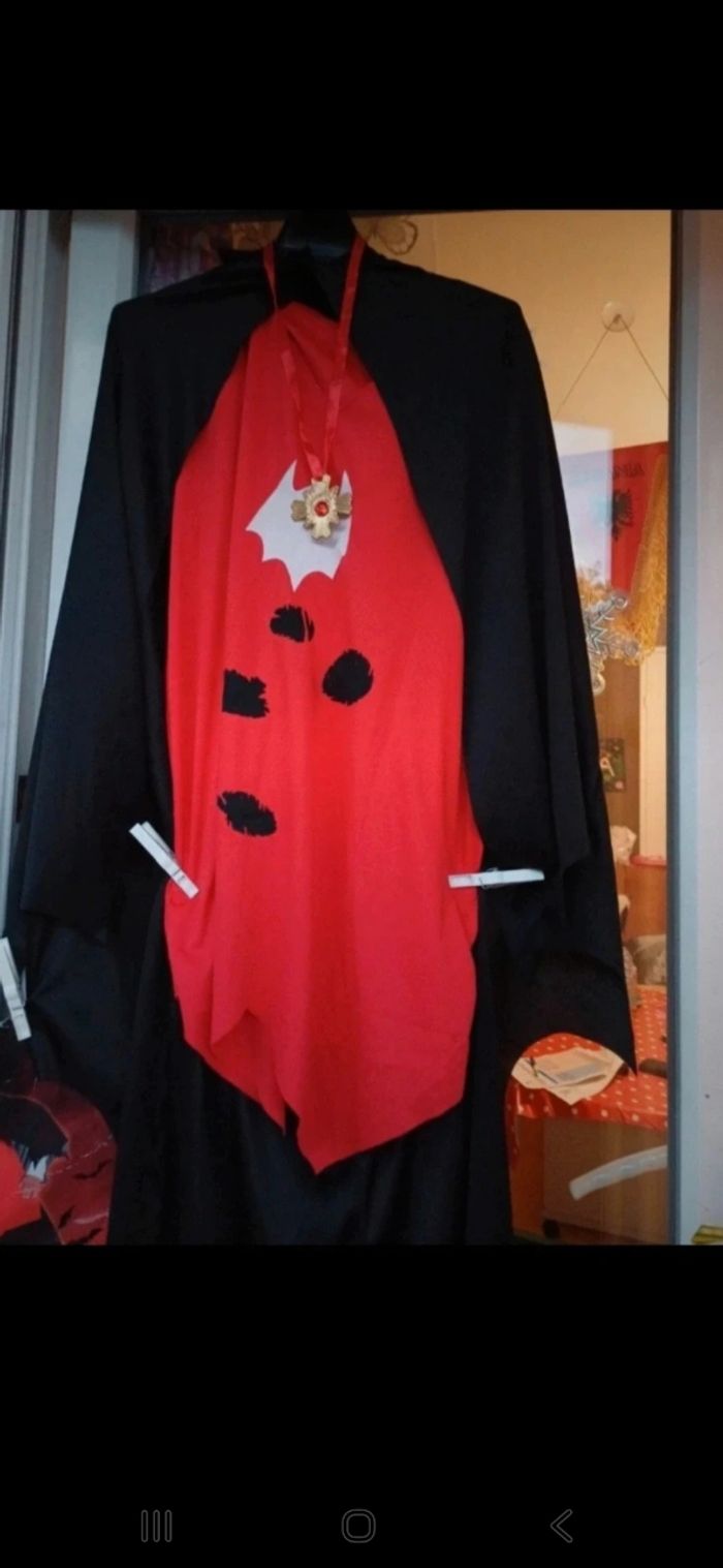 Déguisement halloween - photo numéro 7