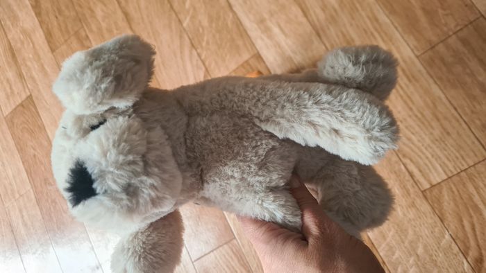 Peluches - photo numéro 3