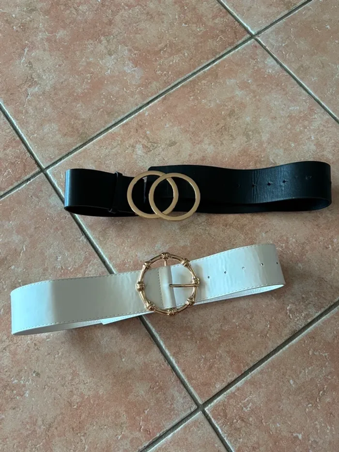 Lot 2 ceintures Shein