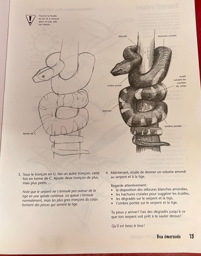 Dessiner pas à pas - photo numéro 5