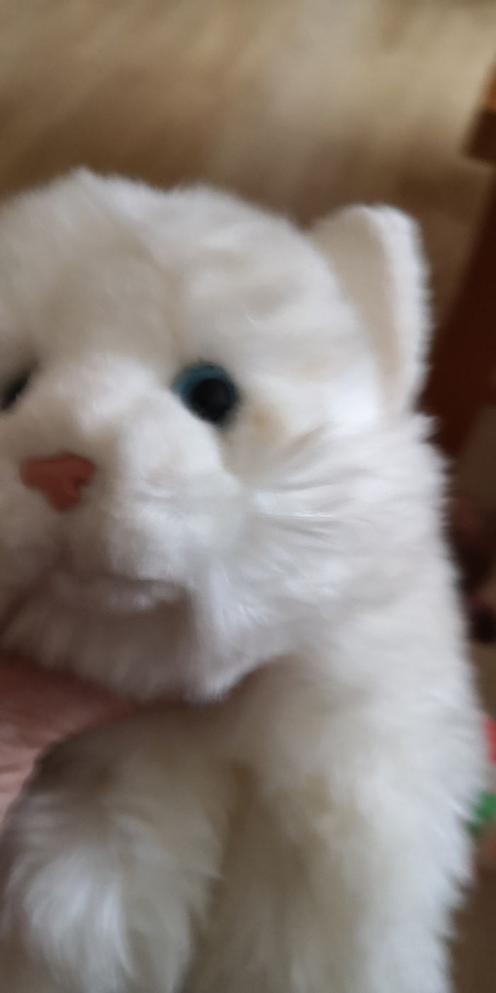 Peluche - photo numéro 5