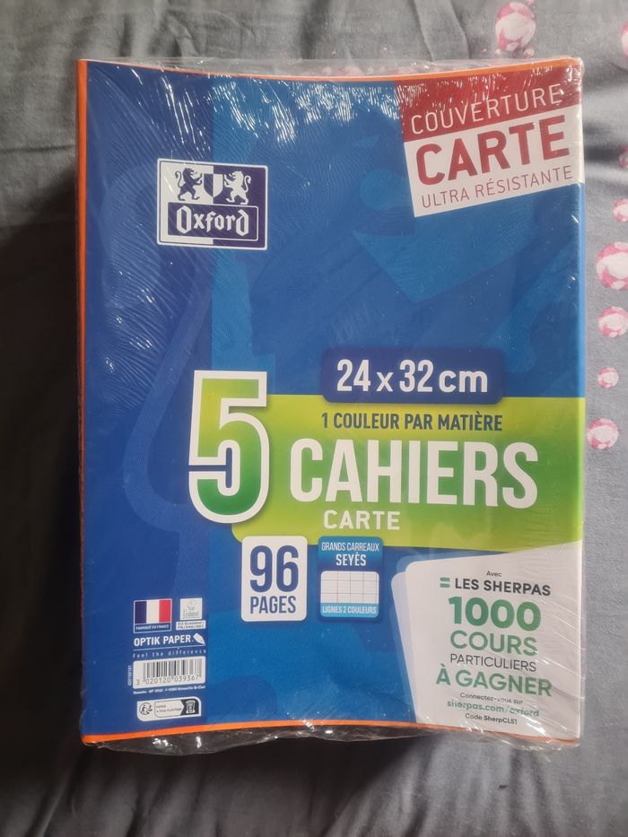 Lot de 5 cahiers 24x32cm 96 pages grands carreaux NEUFS