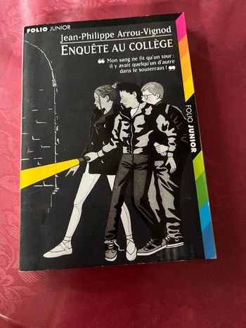 Livre Enquête au collège