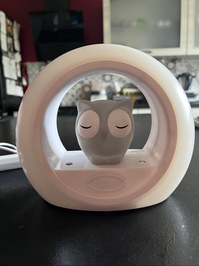 Veilleuse hibou - photo numéro 4